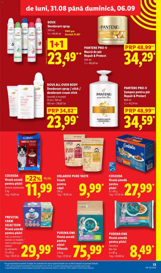 Noul catalog Lidl de la 31.08.