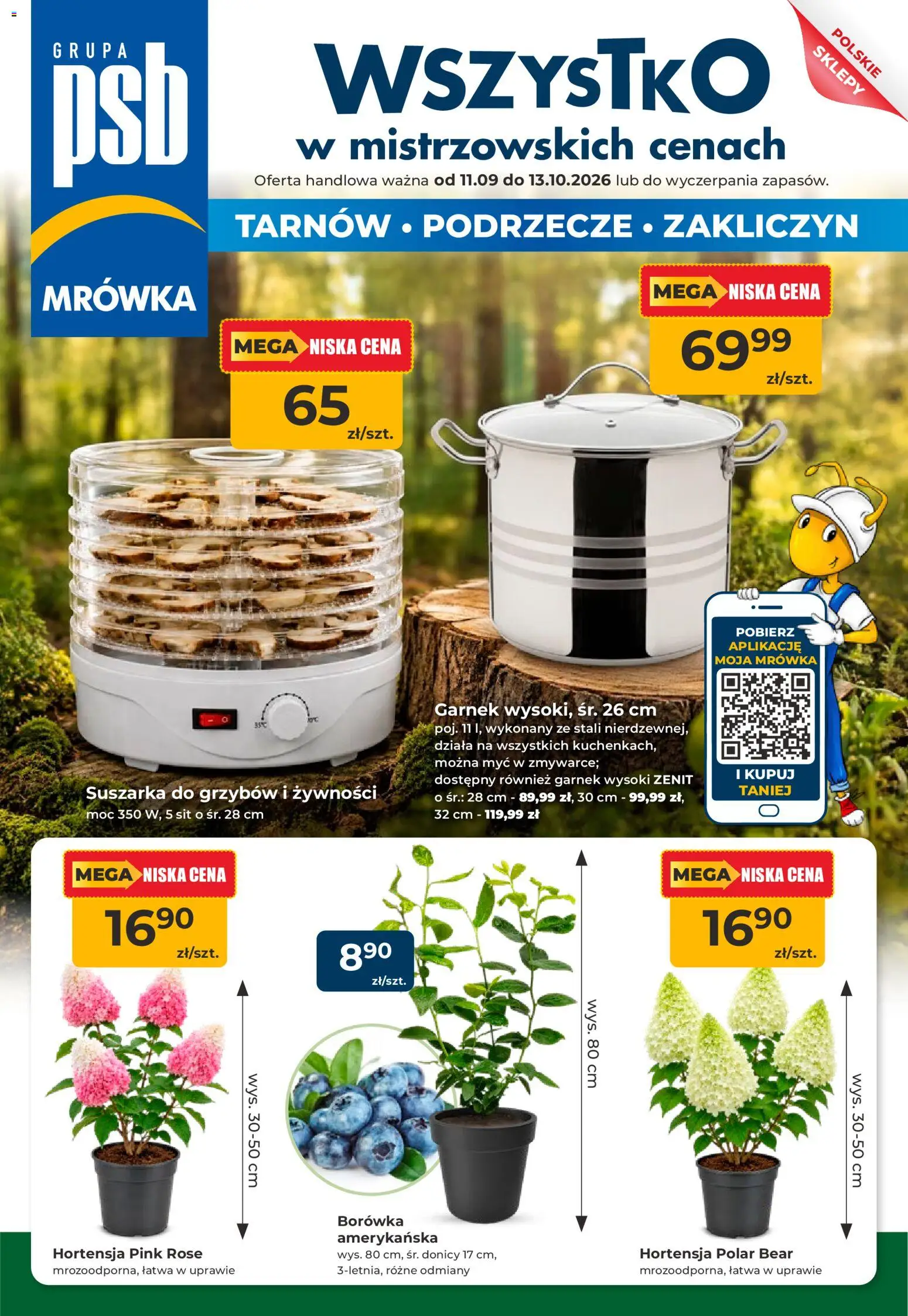 Pogląd gazetki "Mrówka gazetka - Tarnów" ze sklepu Mrówka ważnej od 11.09.2026