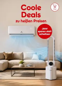 Netto Marken-Discount Produktkatalog - Jetzt mit Klimaanlagen rüsten ab 03.08.2026 gültig