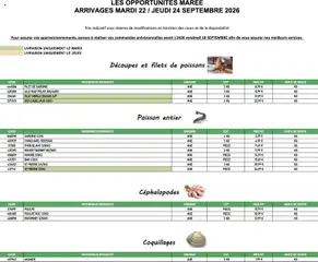 Prévisualisation de Promocash Opportunités Marée du magasin Promocash formulaire valide 22/09/2026