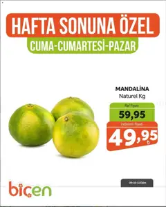 Biçen Market Biçen Market - Hafta Sonuna Özel - Meyve İndirimi 09.10.2026 - Broşürünün önizlemesi