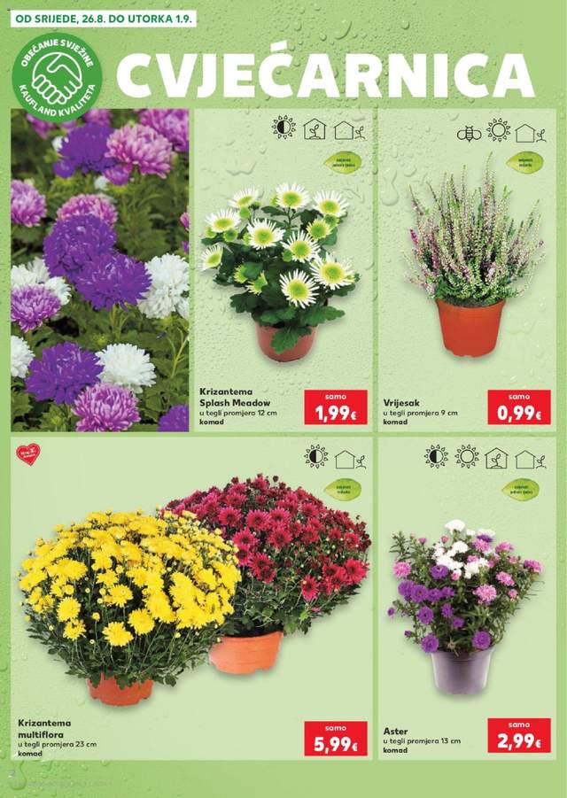 Novi Kaufland katalog od 26.08.