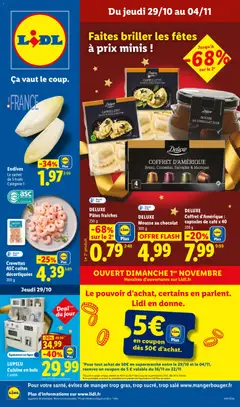 Prévisualisation de LIDL catalogue du magasin LIDL formulaire valide 29/10/2026