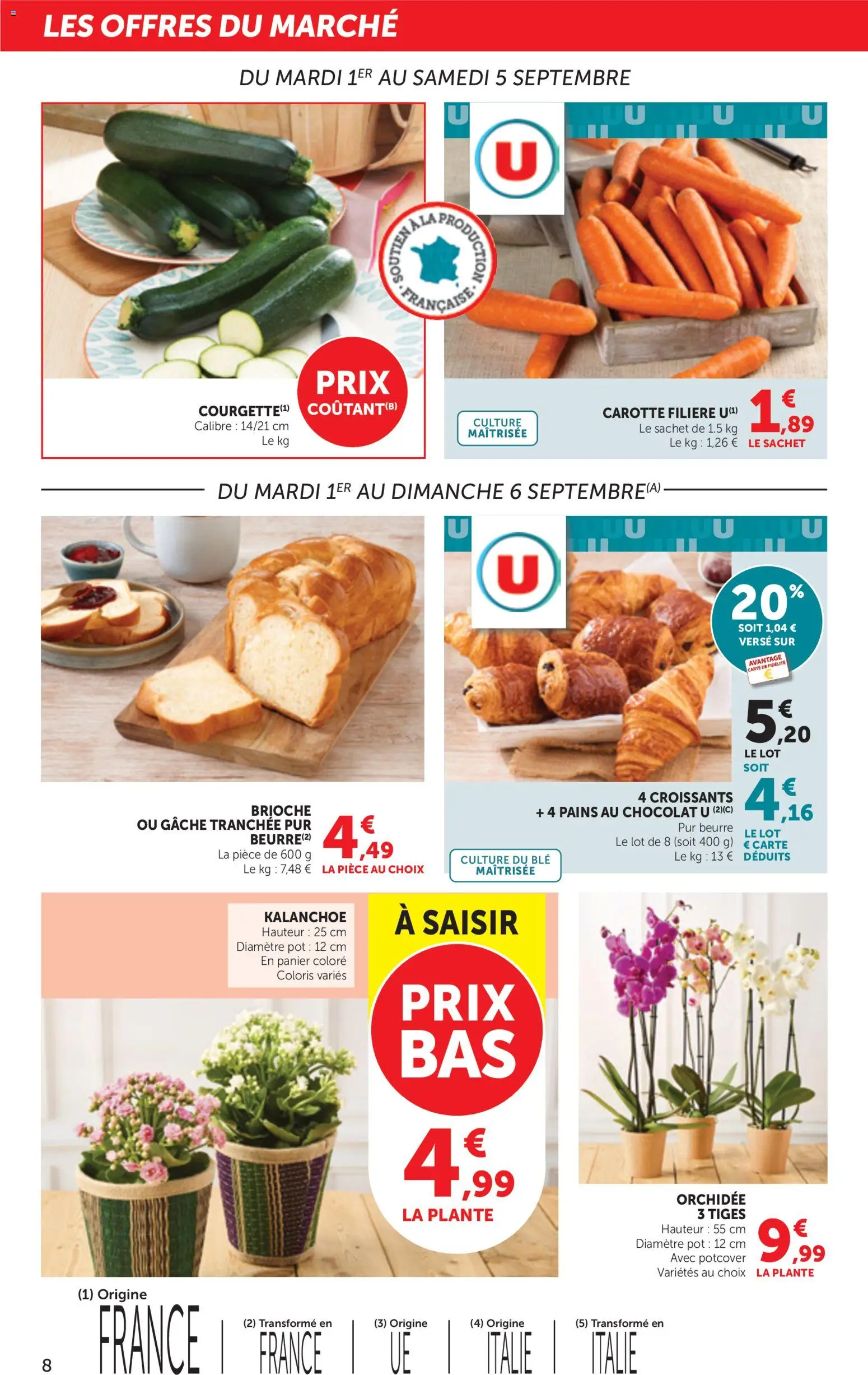 Prévisualisation de bi1 Maxi la beauté à prix bas du magasin bi1 formulaire valide 01/09/2026 - Chocolat, Orchidée, Brioche, Kalanchoe, Beurre, Panier, Blé, Orchidee 3 tiges
