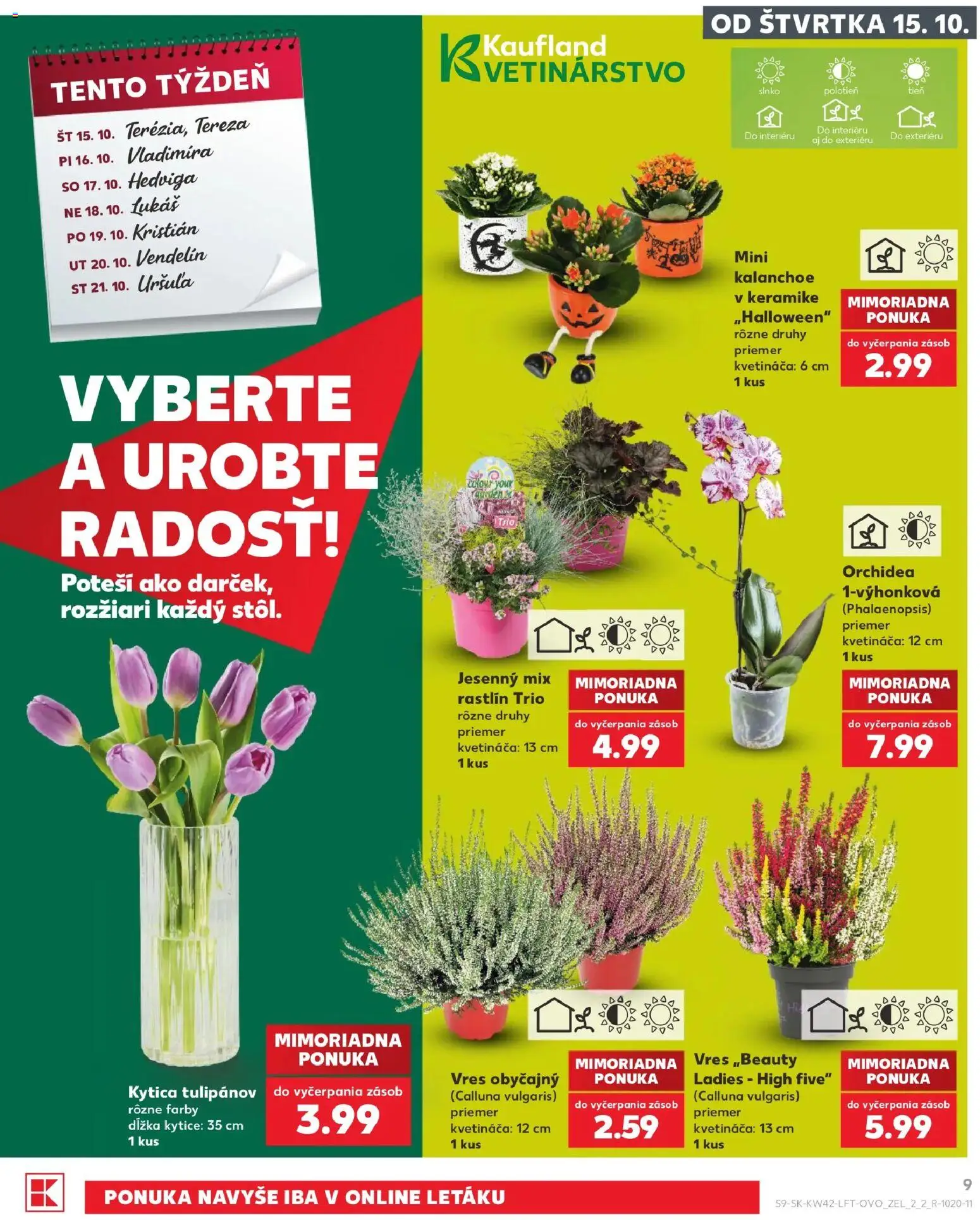 Náhľad Kaufland letáku platného od 15.10.2026 - Orchidea