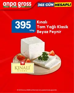 Anpa Gross Anpa Gross Katalog 10.07.2026 - Broşürünün önizlemesi