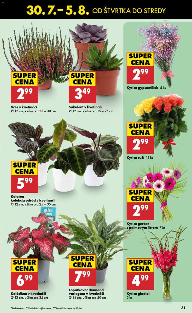 Nový Biedronka leták od 30.07.