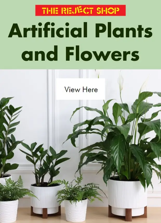Preview of The Reject Shop Catalogue - Artificial Plants and Flowers - valid from 25.04.2026