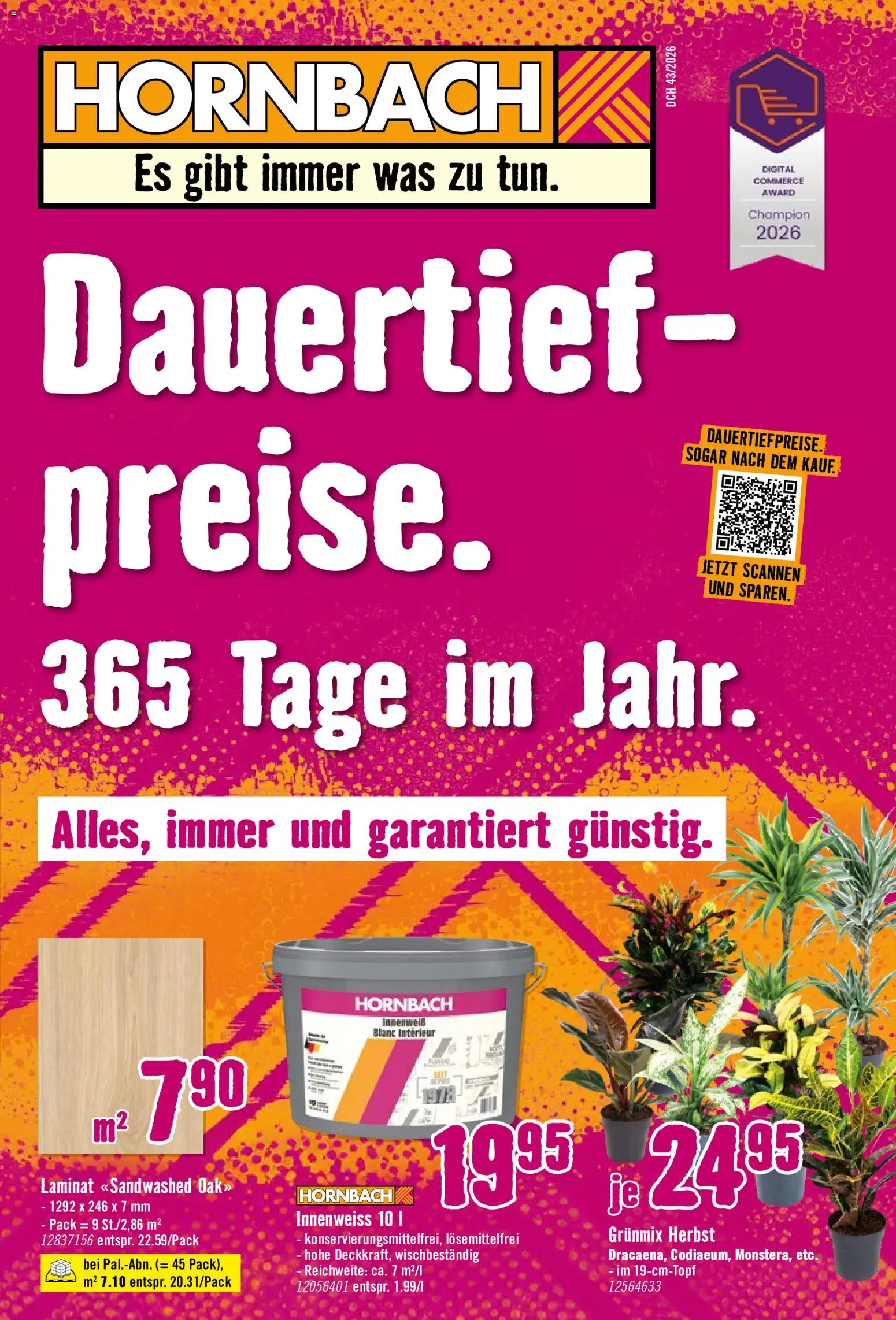 Vorschau des Merkblatts Hornbach aktionen vom Shop Hornbach gültig von 21.10.2026 bis 01.11.2026