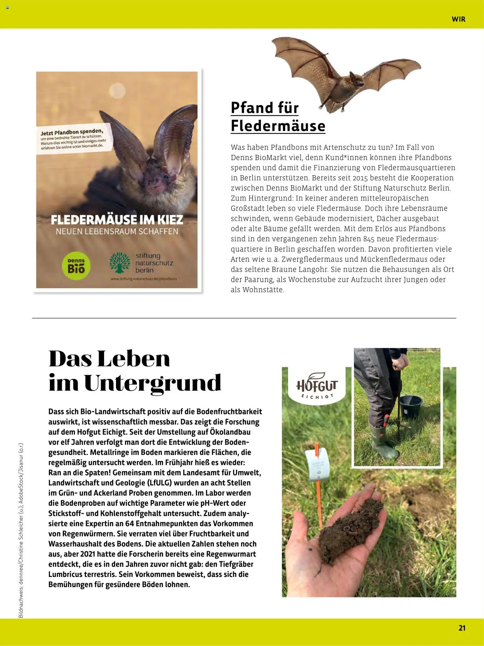 Vorschau von dem Prospekt des Geschäftes BioMarkt, gültig ab dem 17.07.2026