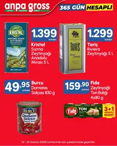 Anpa Gross Anpa Gross Katalog 12.06.2026 - Broşürünün önizlemesi