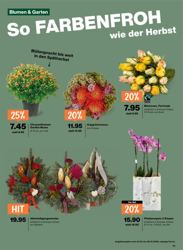 Neue Migros Aktionen ab 22.10.