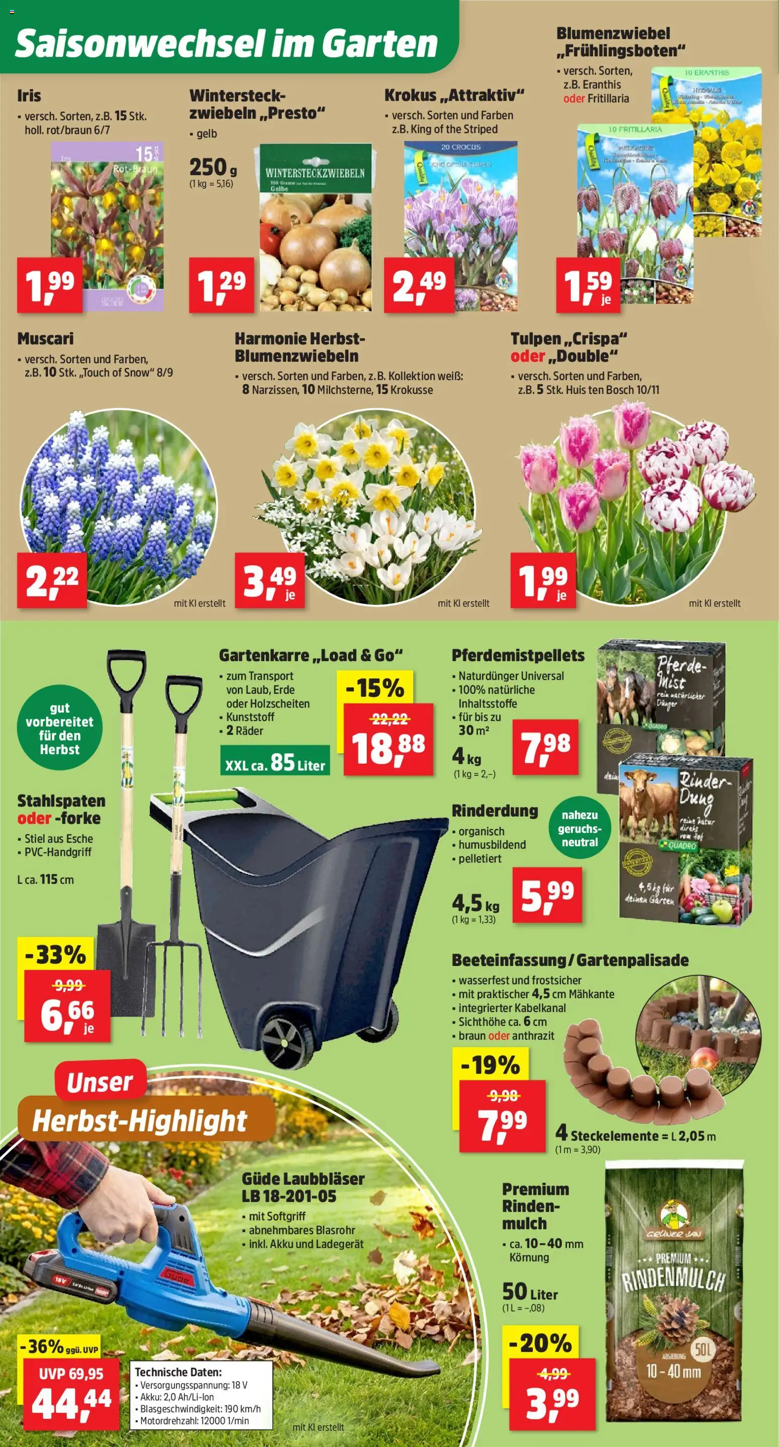 Vorschau von dem Prospekt des Geschäftes Thomas Philipps, gültig ab dem 07.09.2026 - Bosch, Rindenmulch, Ladegerät, Zwiebeln