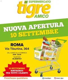 Anteprima dell'opuscolo Tigre volantino Amico Roma dal negozio Tigre valido da 10/09/2026
