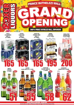 Preview of Boxer flyer valid from 04/09/2026