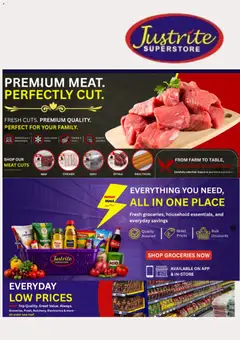 Preview of Justrite Justrite Catalogue valid 15/07/2026