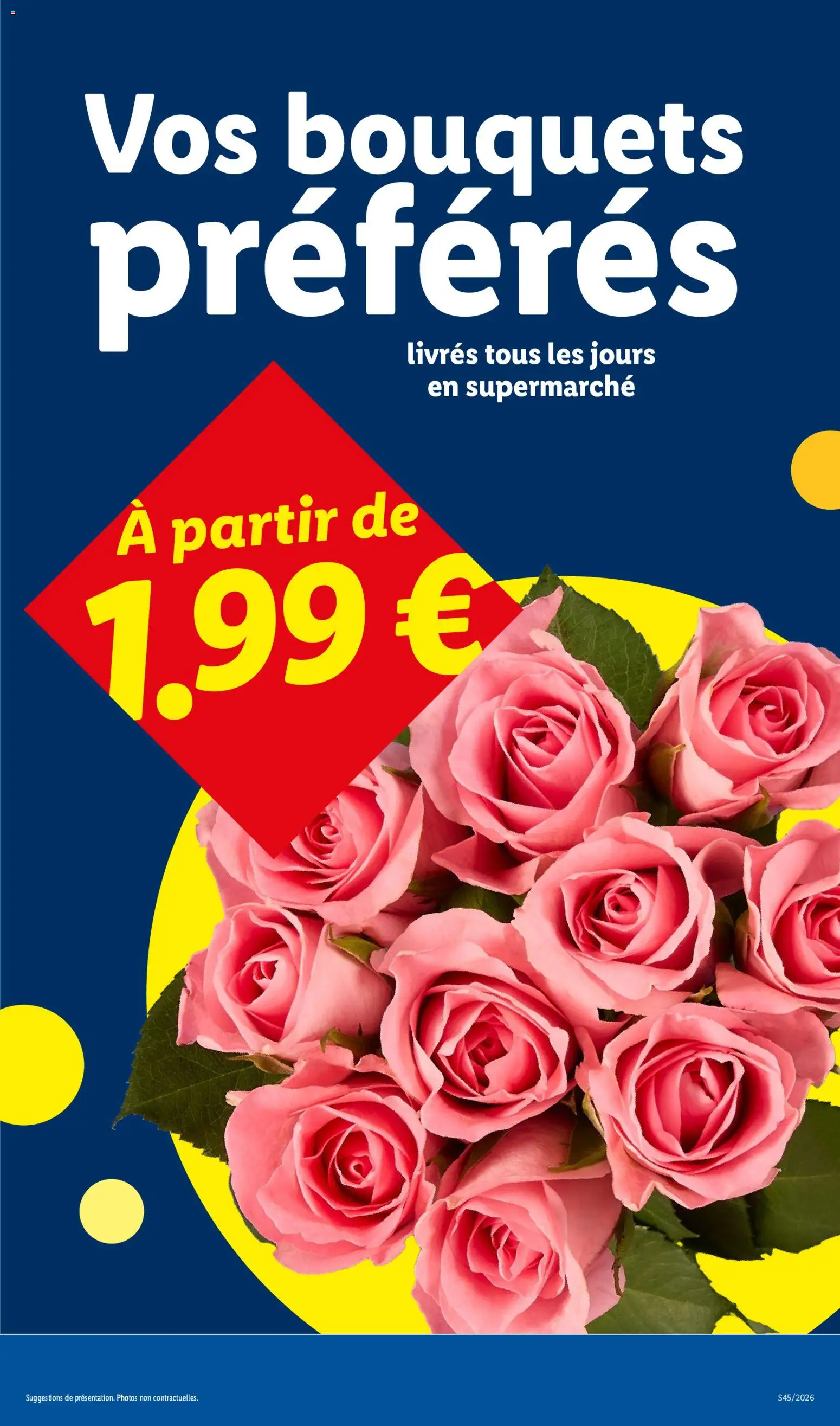 Prévisualisation de LIDL catalogue du magasin LIDL formulaire valide 05/11/2026