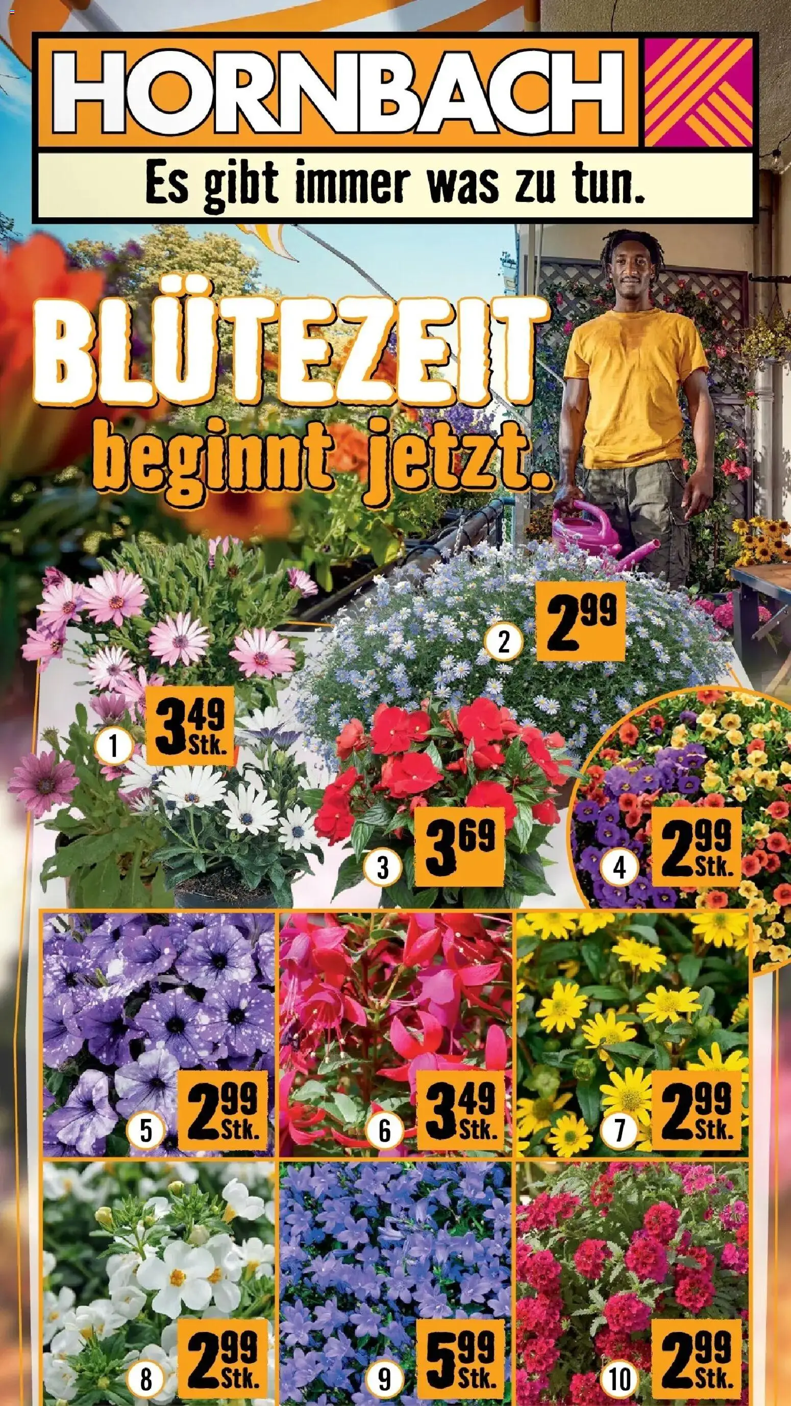 Vorschau der Angebote: Hornbach Hornbach Blütezeit beginnt jetzt gültig ab 15.04.2026