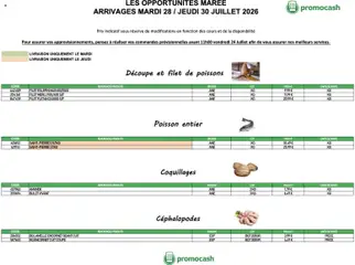 Prévisualisation de Promocash Opportunités Marée du magasin Promocash formulaire valide 28/07/2026