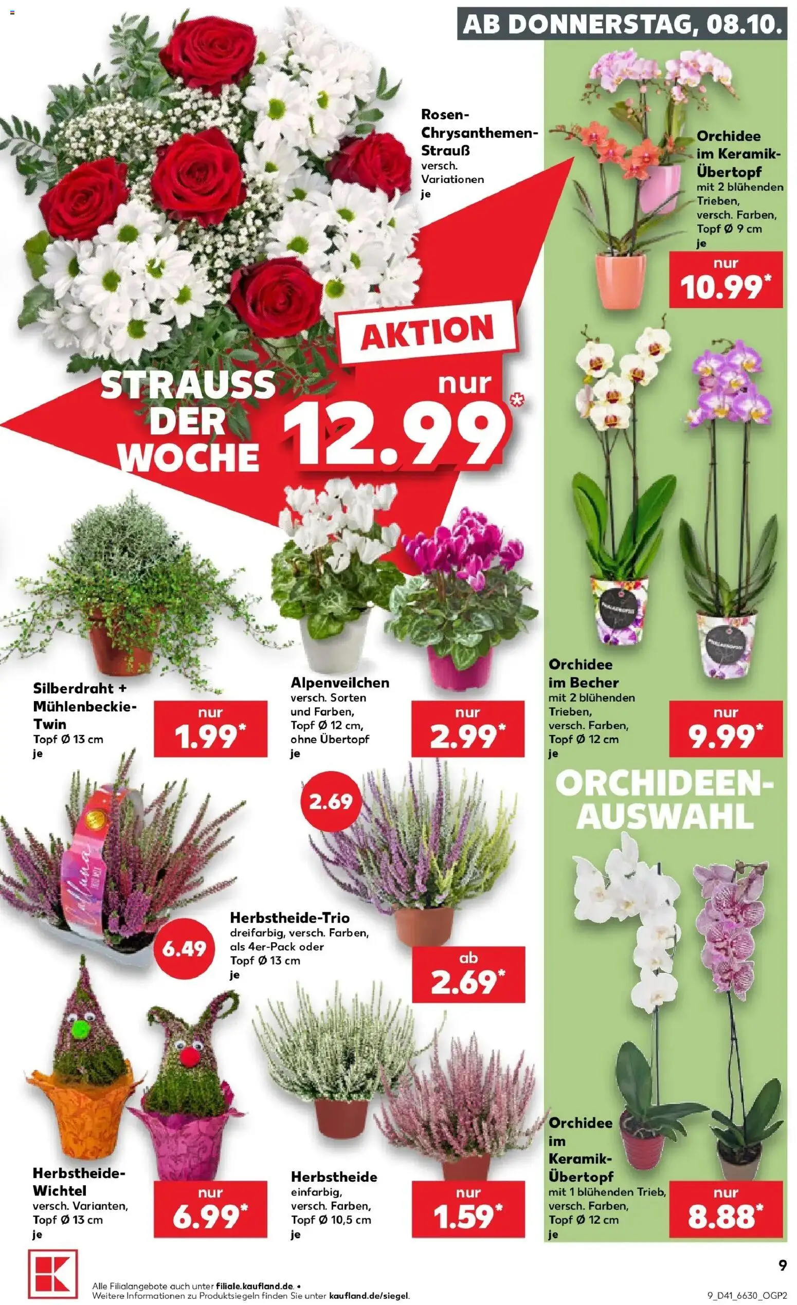 Vorschau von dem Prospekt des Geschäftes Kaufland, gültig ab dem 08.10.2026 - Orchidee