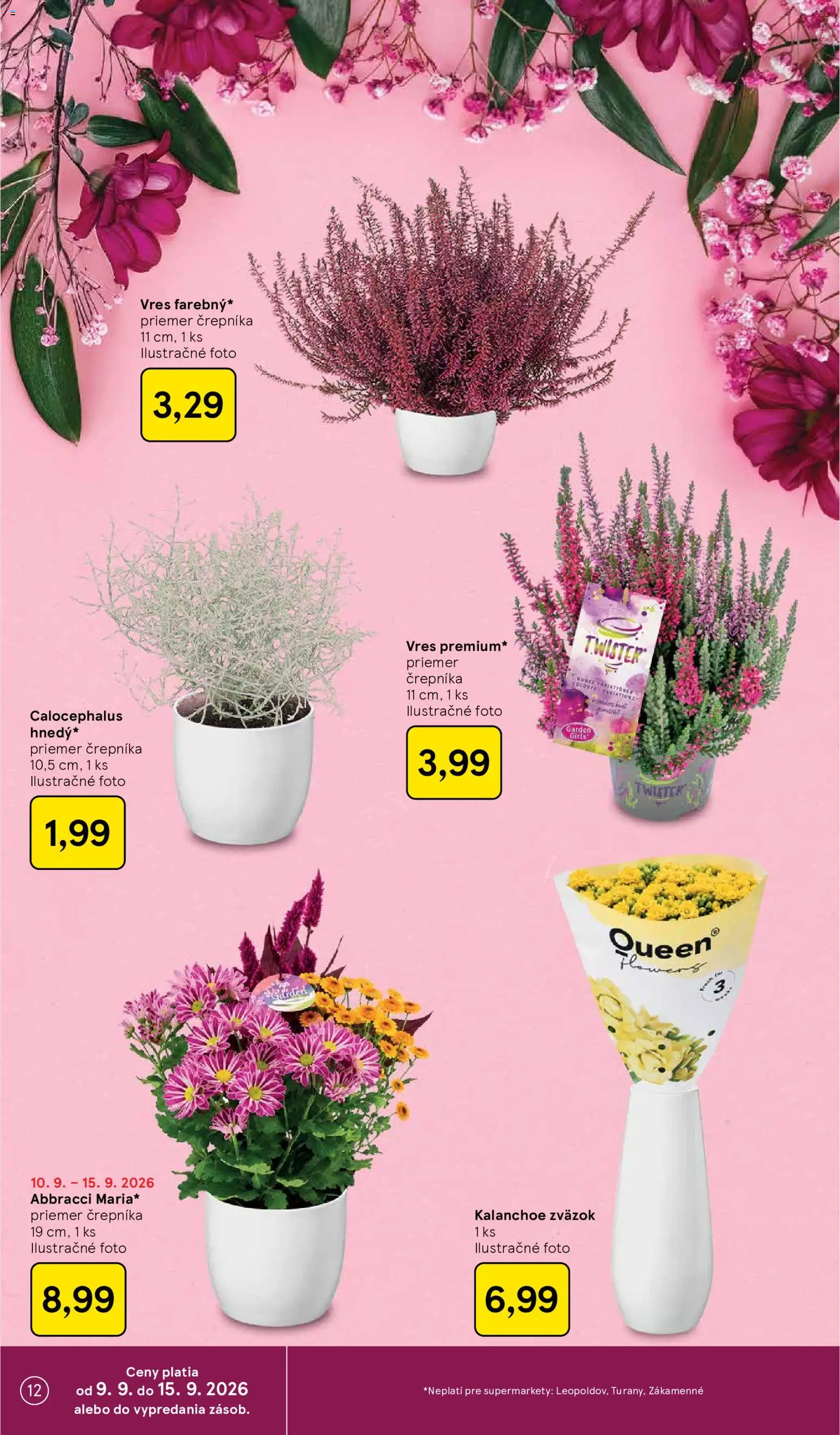 Náhľad Tesco letáku platného od 09.09.2026