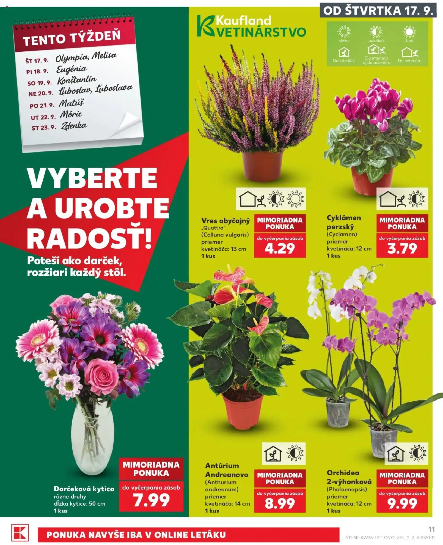 Náhľad Kaufland letáku platného od 17.09.2026