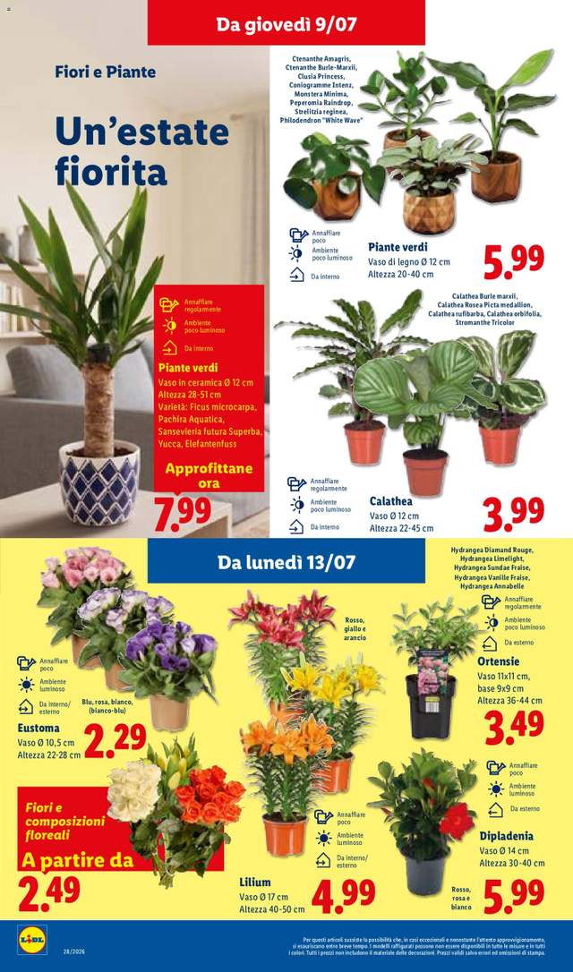 Nuovo volantino Lidl dal 09/07