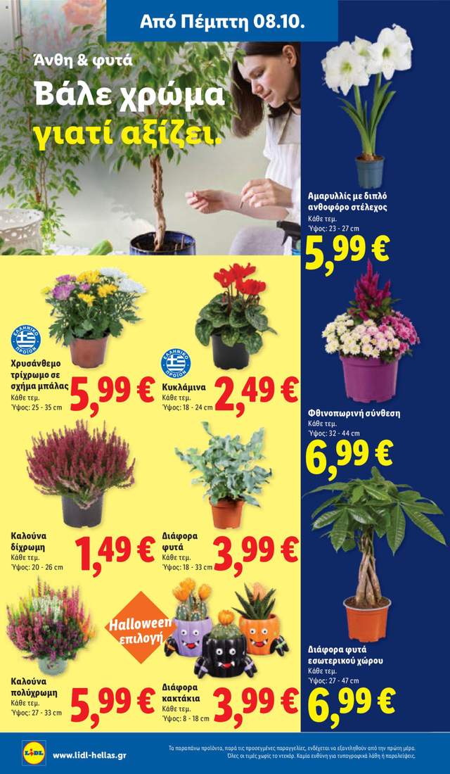 Νέο φυλλάδιο Lidl από τις 08/10