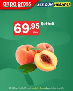 Anpa Gross Anpa Gross Katalog 14.05.2026 - Broşürünün önizlemesi