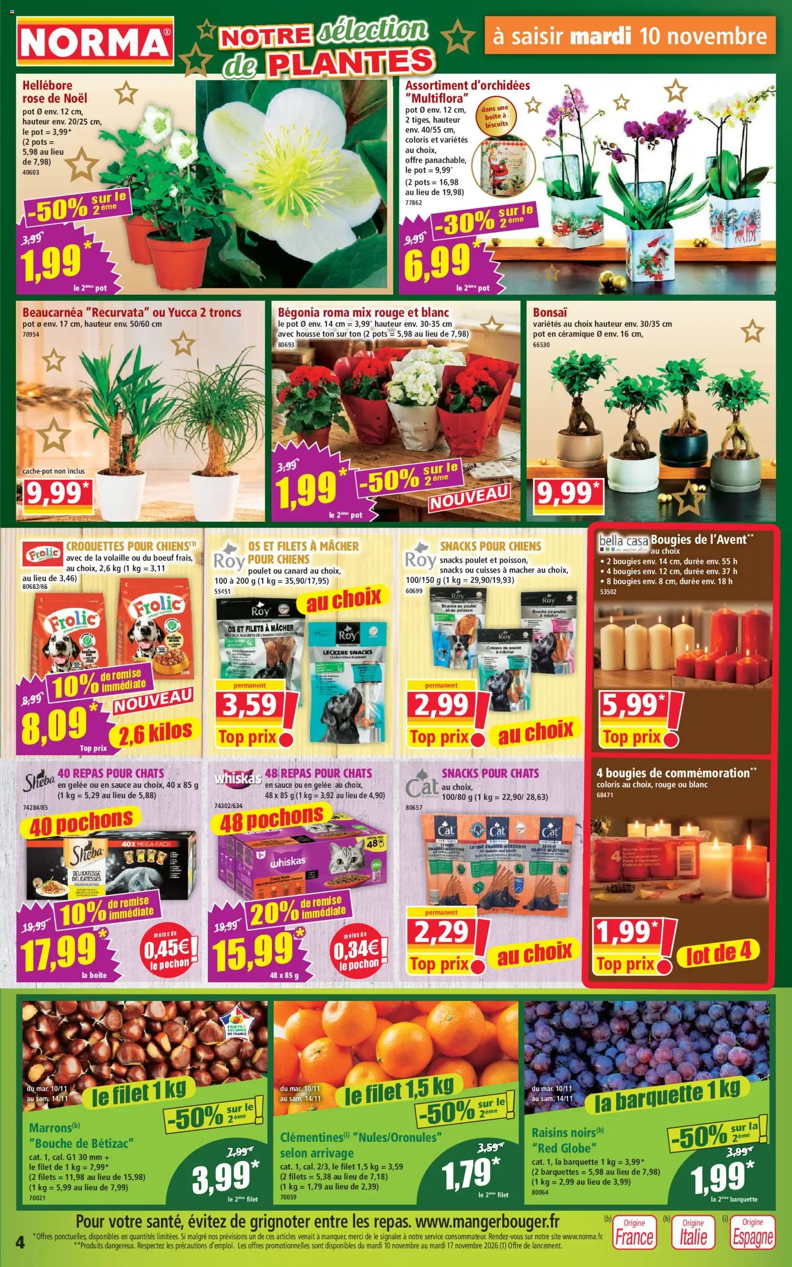 Prévisualisation de Norma catalogue du magasin Norma formulaire valide 10/11/2026 - Plantes, Canard, Biscuits, Raisins, Volaille, Pochons, Beaucarnea, Gelée