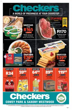 Preview of Checkers flyer valid from 11/05/2026