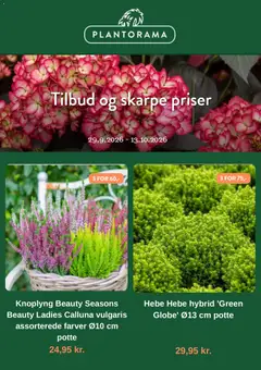 Eksempel på tilbudsavis Plantorama - Tilbudsavis fra butik Plantorama gyldig fra 29/09/2026