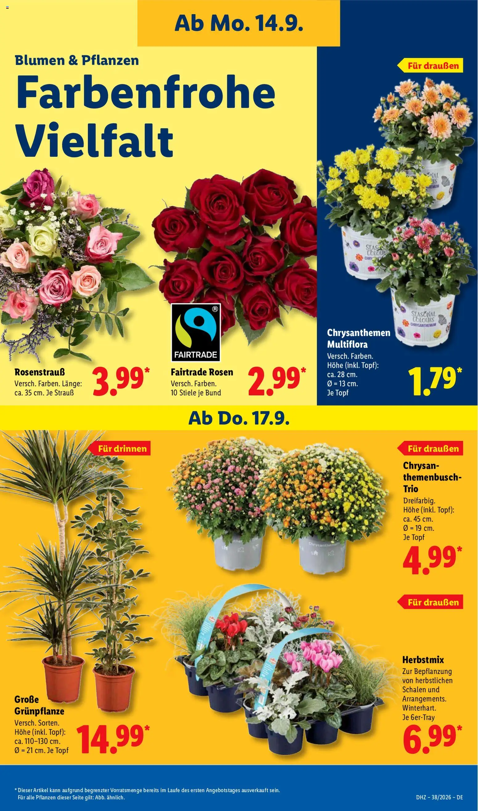 Vorschau von dem Prospekt des Geschäftes Lidl, gültig ab dem 14.09.2026 - Sofa, String, Kopfkissen