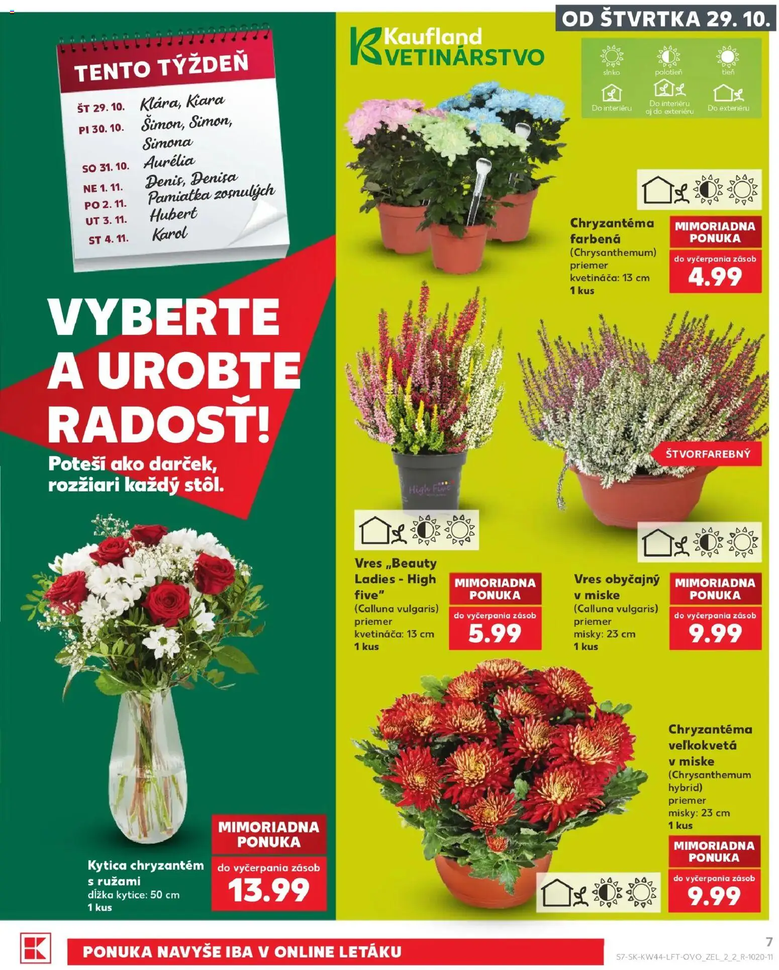 Náhľad Kaufland letáku platného od 29.10.2026