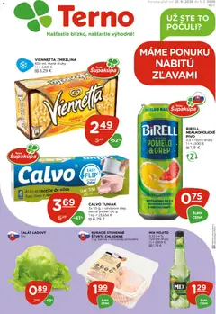 Náhľad Terno letáku platného od 25.06.2026