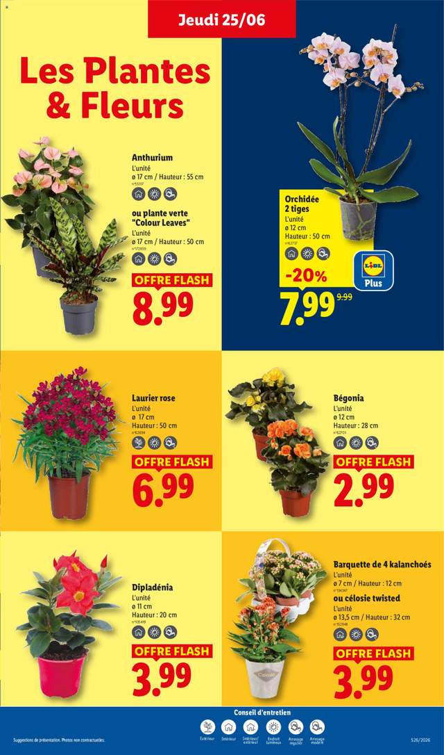 Nouveau catalogue Lidl à partir du 25/06