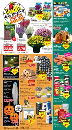 Vorschau von dem Prospekt des Geschäftes Wiglo Wunderland, gültig ab dem 28.09.2026
