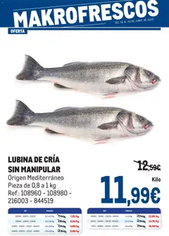 Vista previa del folleto de la tienda Makro válido desde el 16/06/2026 