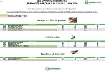 Prévisualisation de Promocash Opportunités Marée du magasin Promocash formulaire valide 09/06/2026