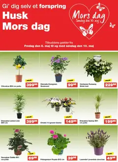 Eksempel på tilbudsavis Bauhaus - Mors dag fra butik Bauhaus gyldig fra 08/05/2026