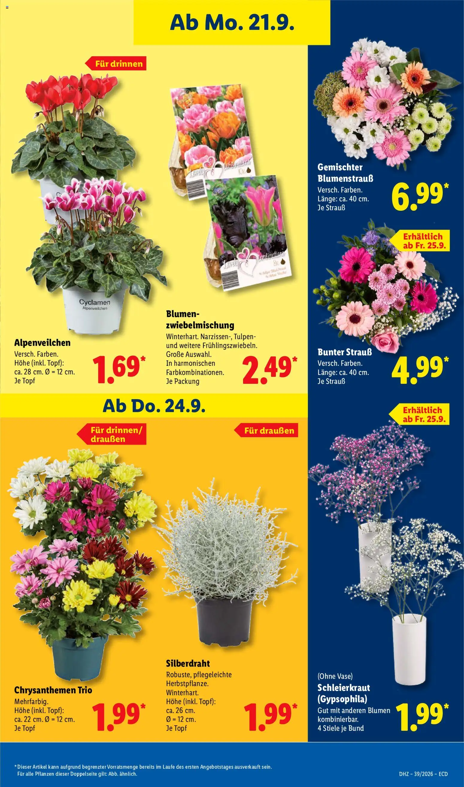 Vorschau von dem Prospekt des Geschäftes Lidl, gültig ab dem 21.09.2026 - Bosch, Teppich, Bad