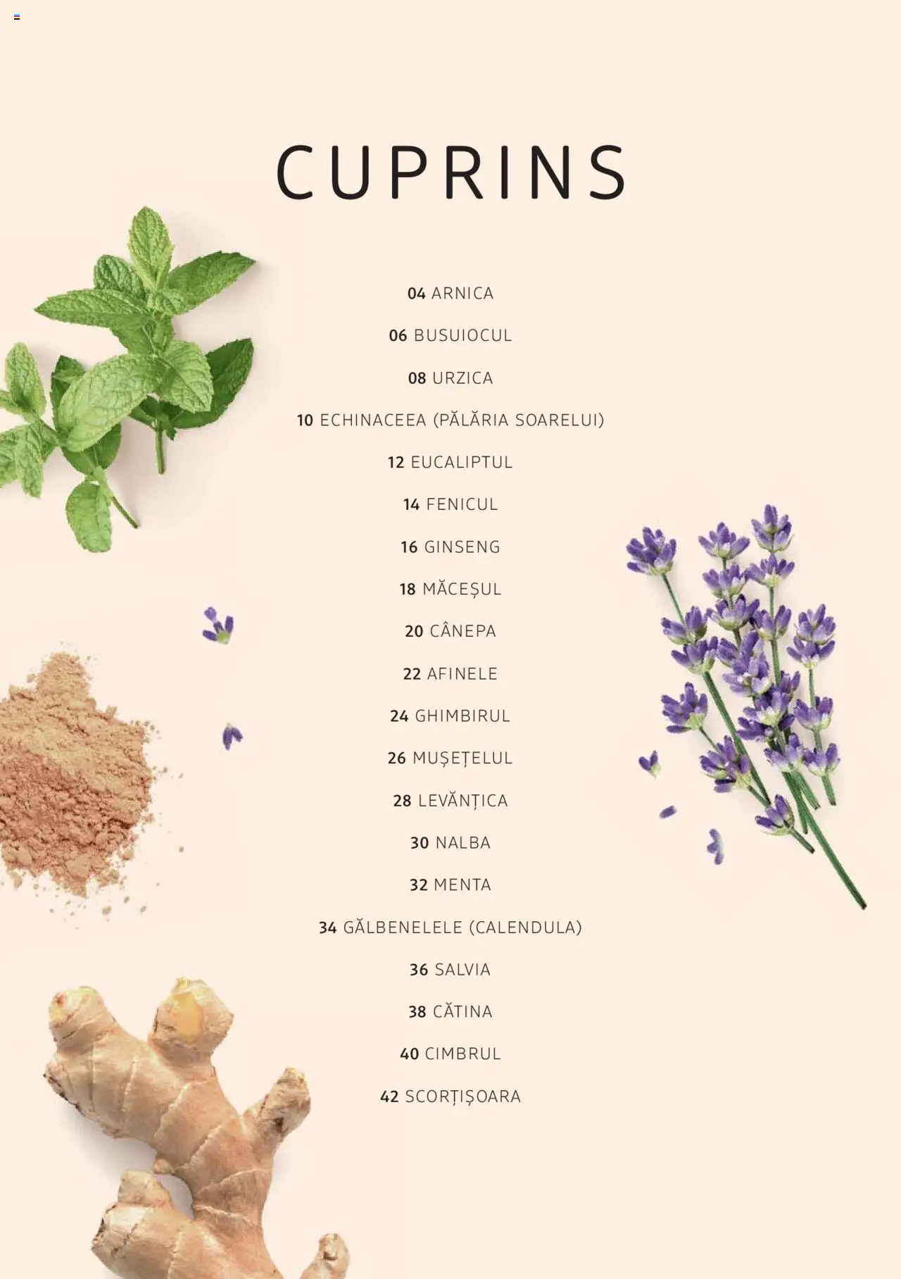 Previzualizarea de cataloage: DM drogeriemarkt Catalog - Broșura despre plante și ierburi valabil de la 01.01.2022