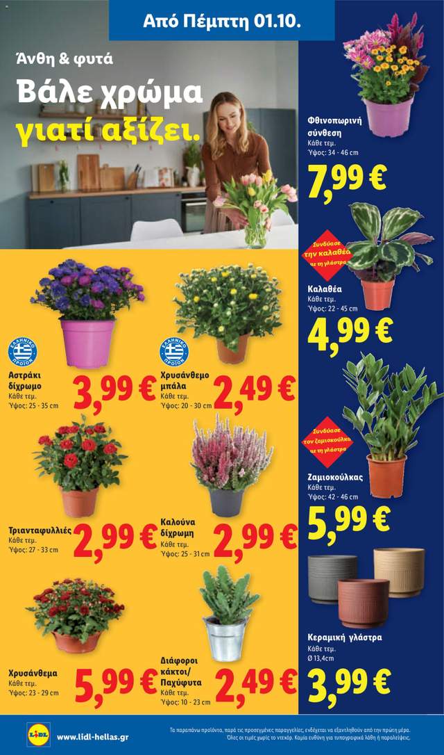 Νέο φυλλάδιο Lidl από τις 01/10