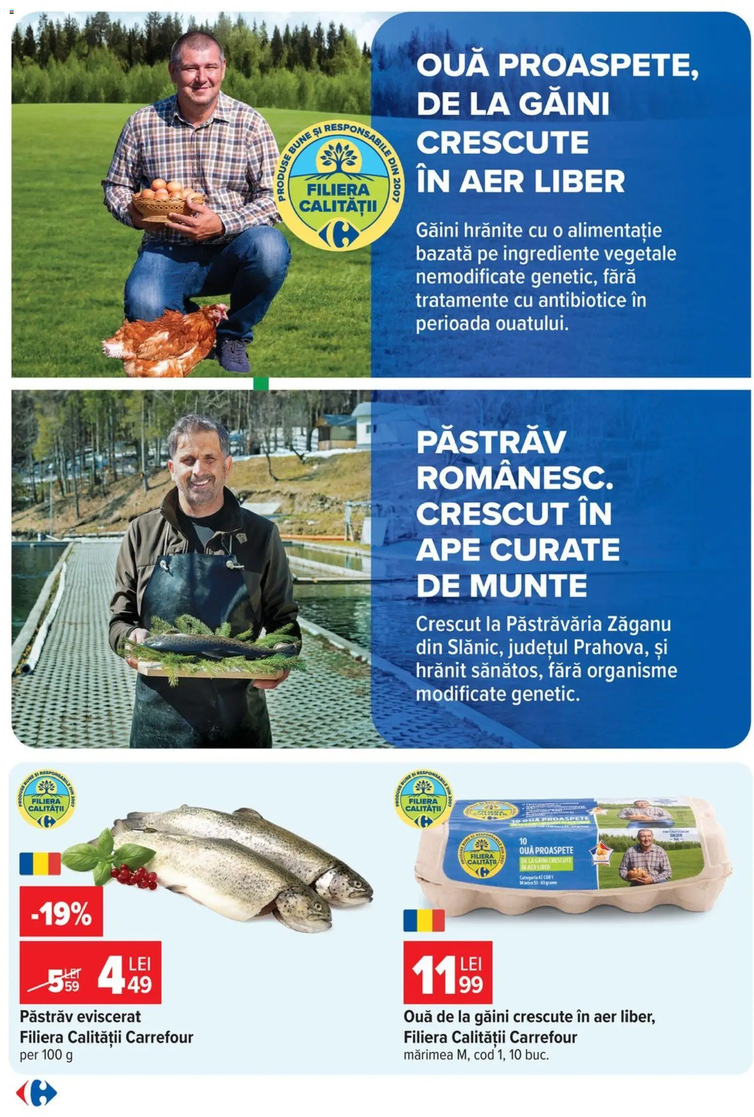 Previzualizarea de cataloage: Carrefour Carrefour Catalog valabil de la 28.10.2026 - Pastrav, Ouă