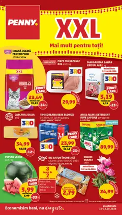 Previzualizarea de cataloage: PENNY PENNY Catalog valabil de la 10.06.2026