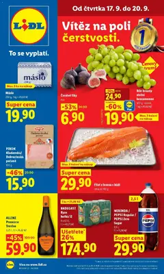 Náhled nabídky: Lidl Lidl aktuální leták platný od 17.09.2026