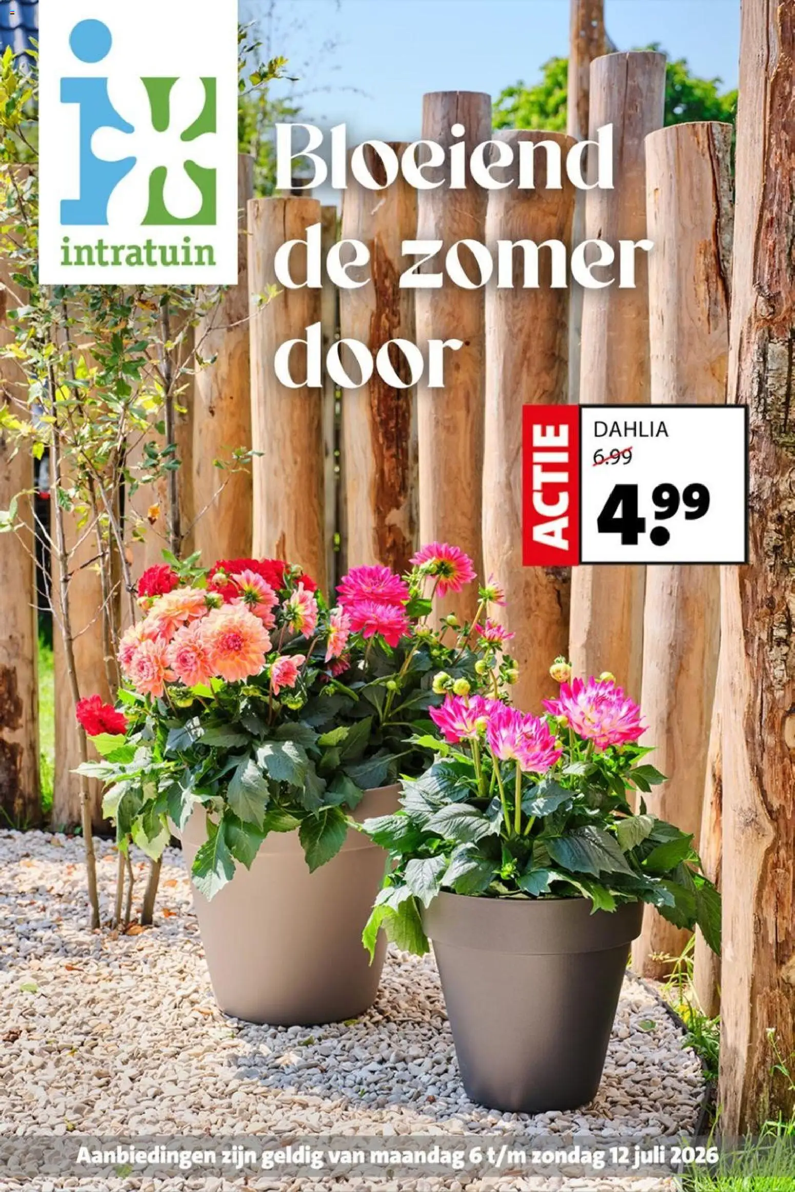 Voorbeeld van Intratuin folder van winkel Intratuin geldig vanaf 06-07-2026