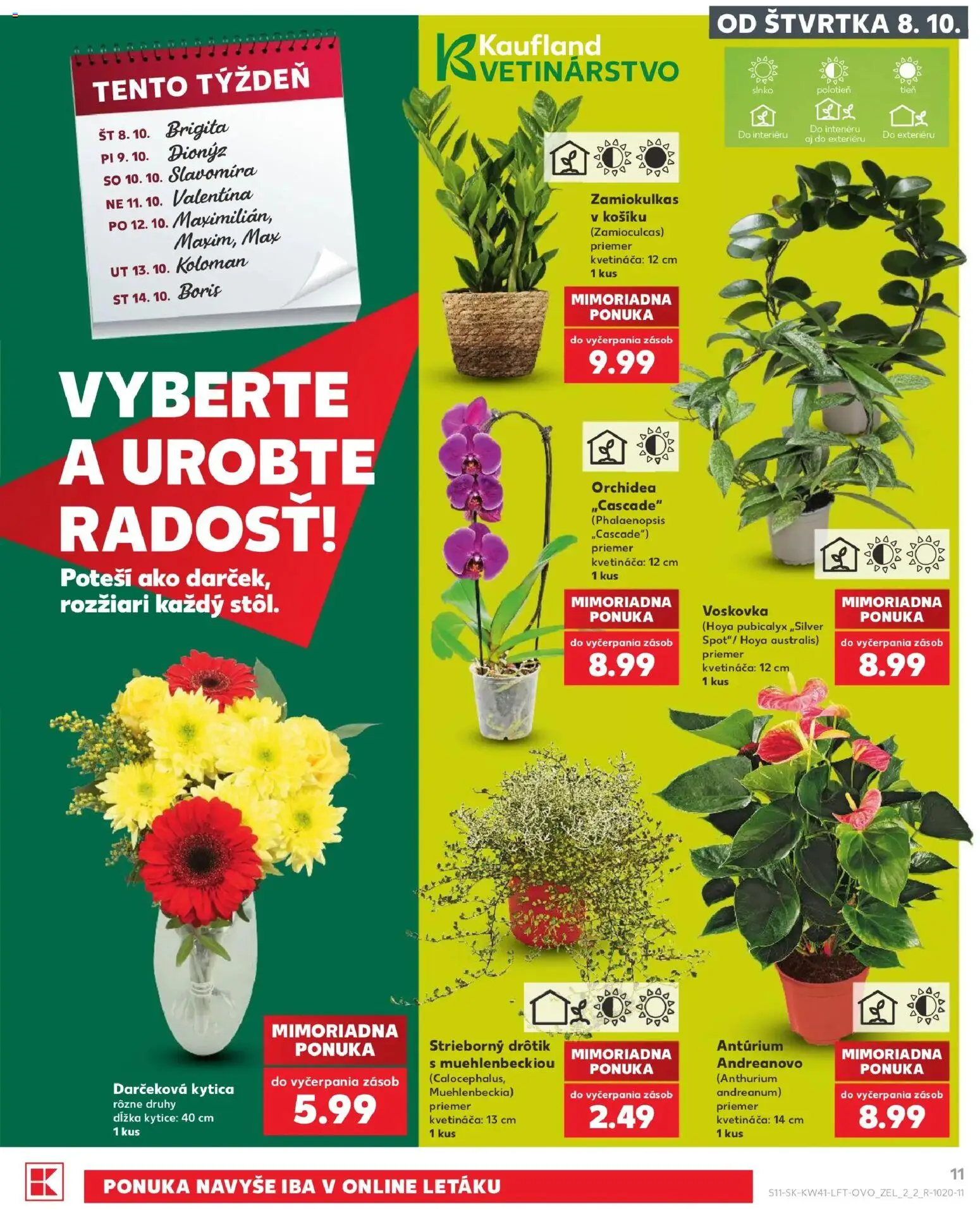 Náhľad Kaufland letáku platného od 08.10.2026 - Orchidea