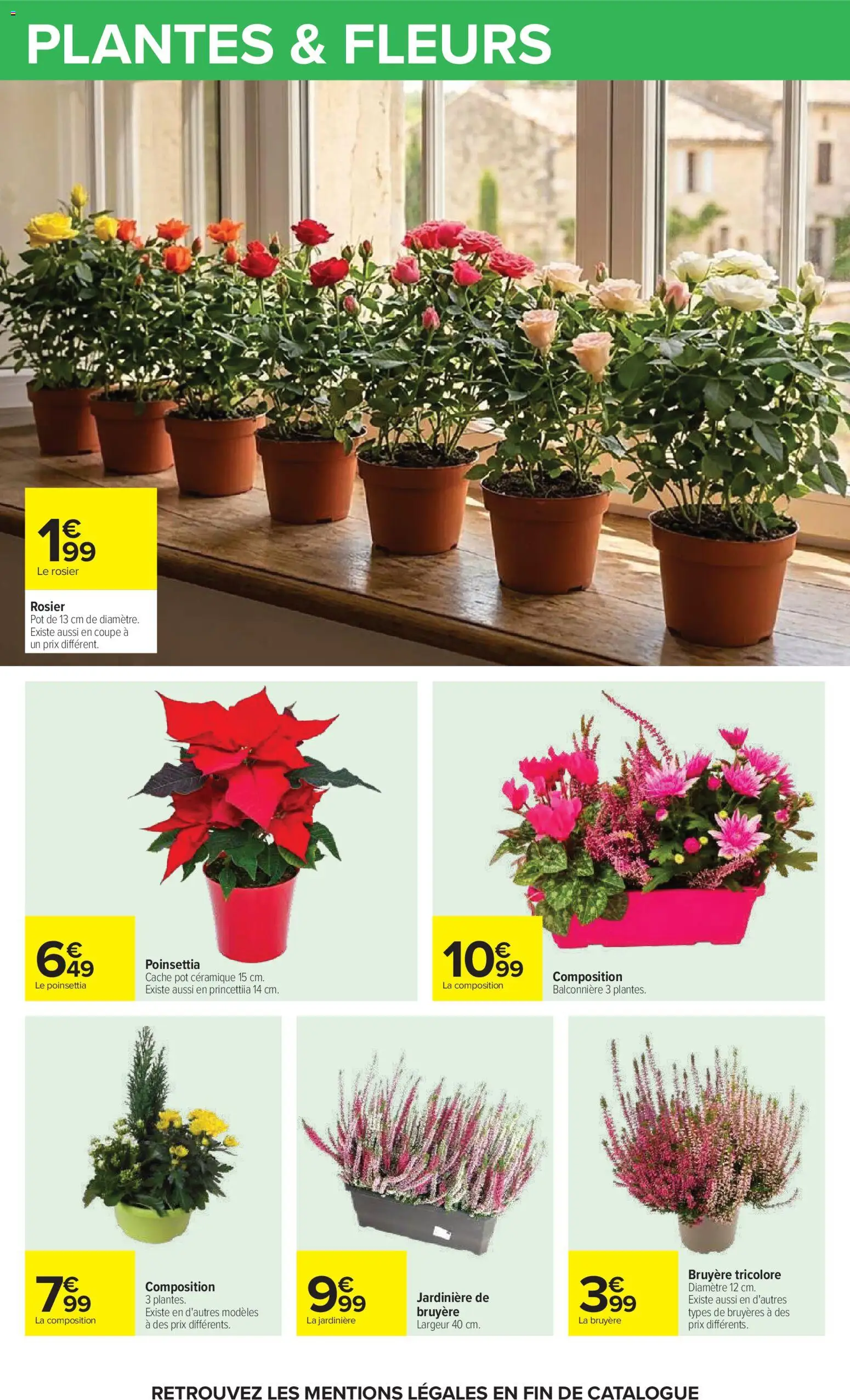 Prévisualisation de Carrefour Vos promos du quotidien du magasin Carrefour formulaire valide 27/10/2026 - Fleurs, Plantes, Poinsettia, Jardinière, Rosier, Bruyère