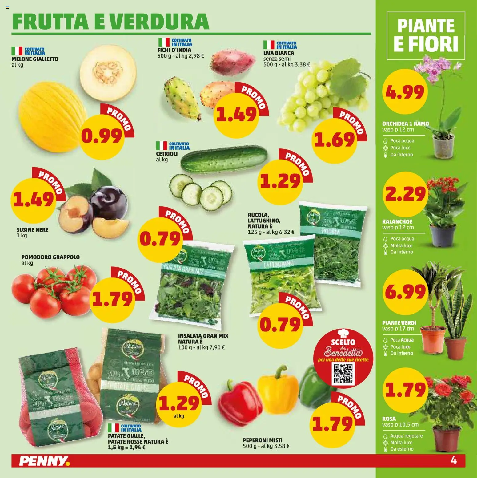 Anteprima dell'opuscolo PENNY volantino dal negozio PENNY valido da 10/09/2026 - Fiori, Frutta, Fichi, Cetrioli, Peperoni, Uva, Melone, Vaso